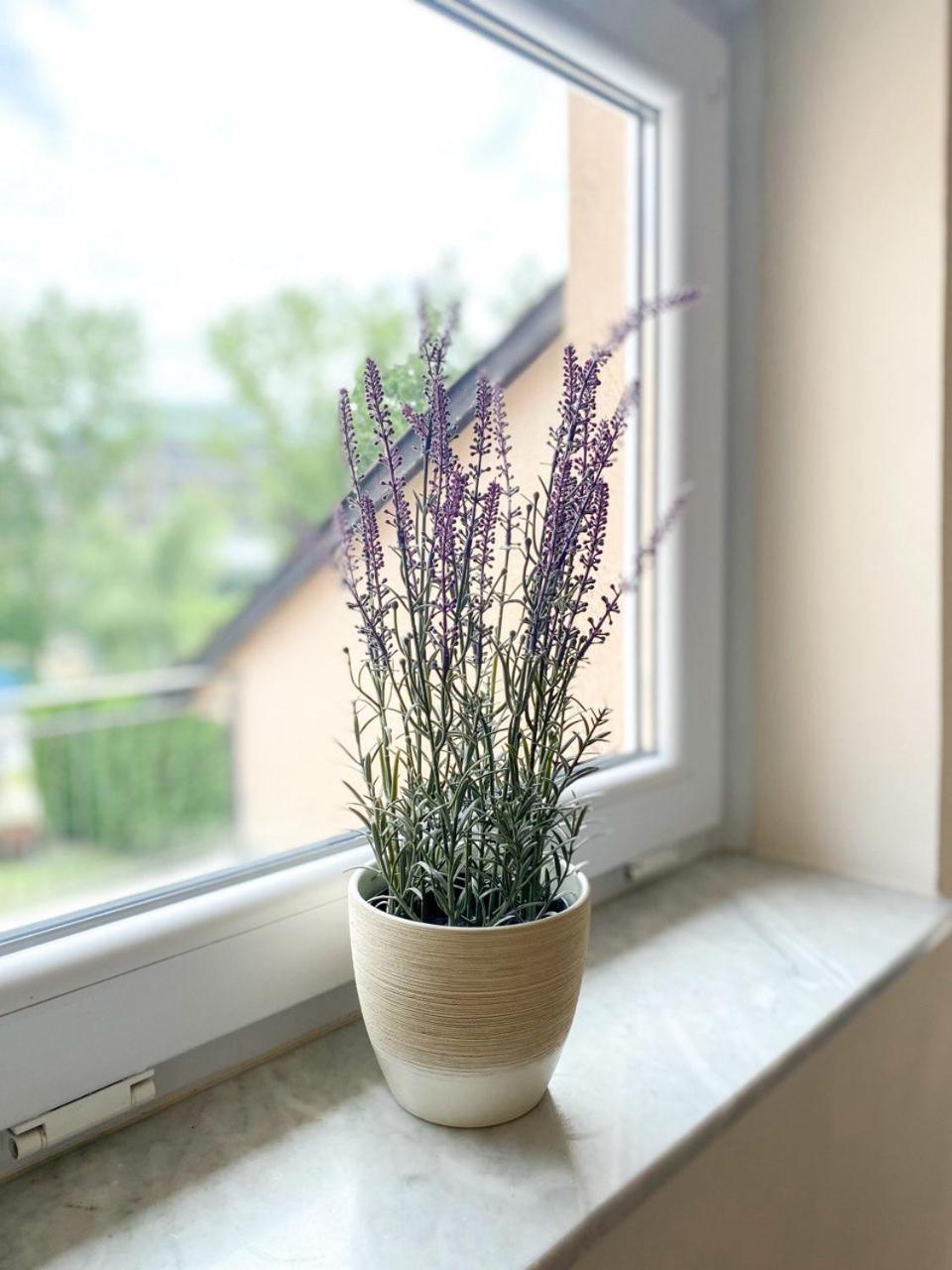 Vilara Apartment Heviz