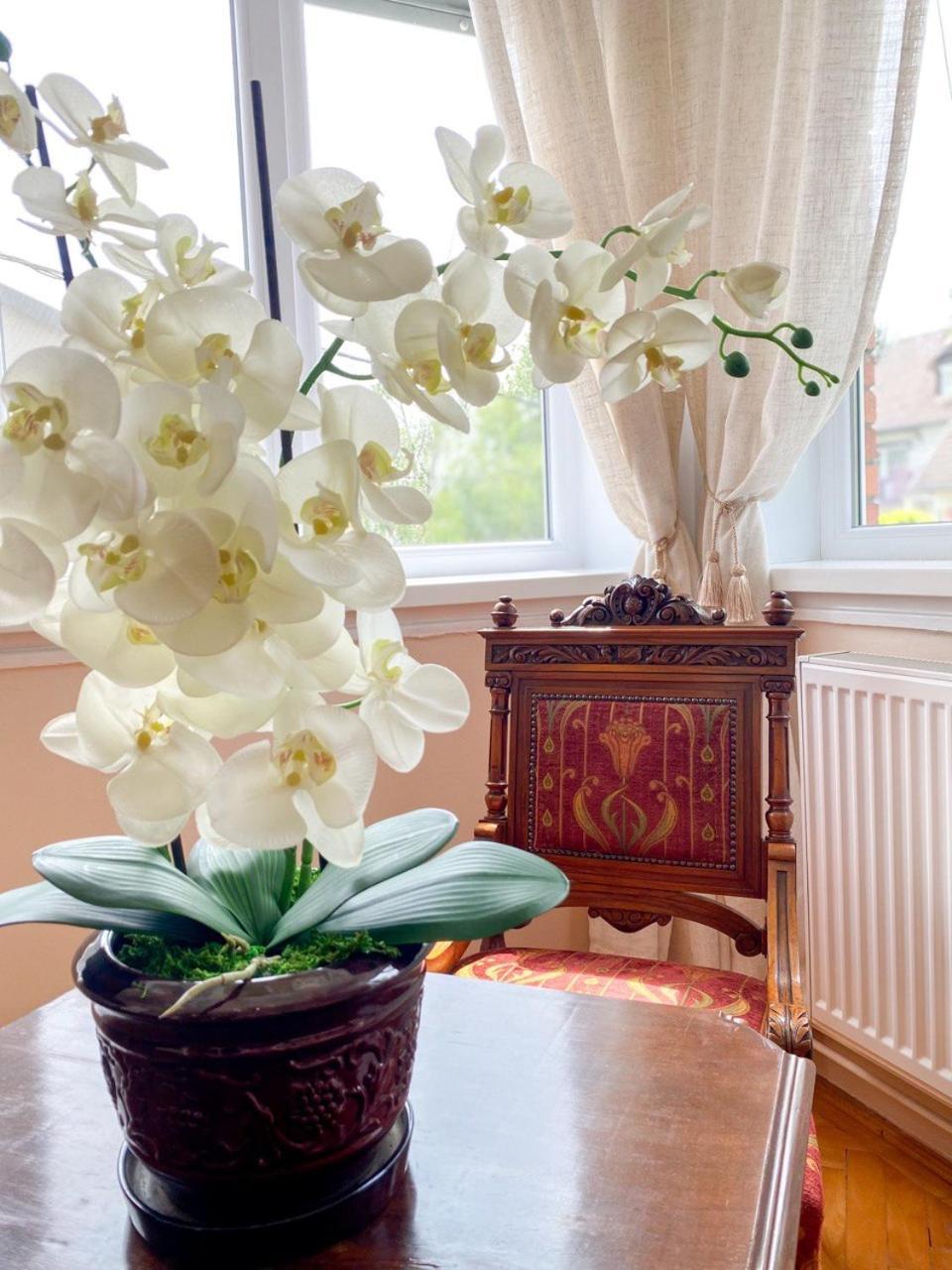 Vilara Apartment Heviz